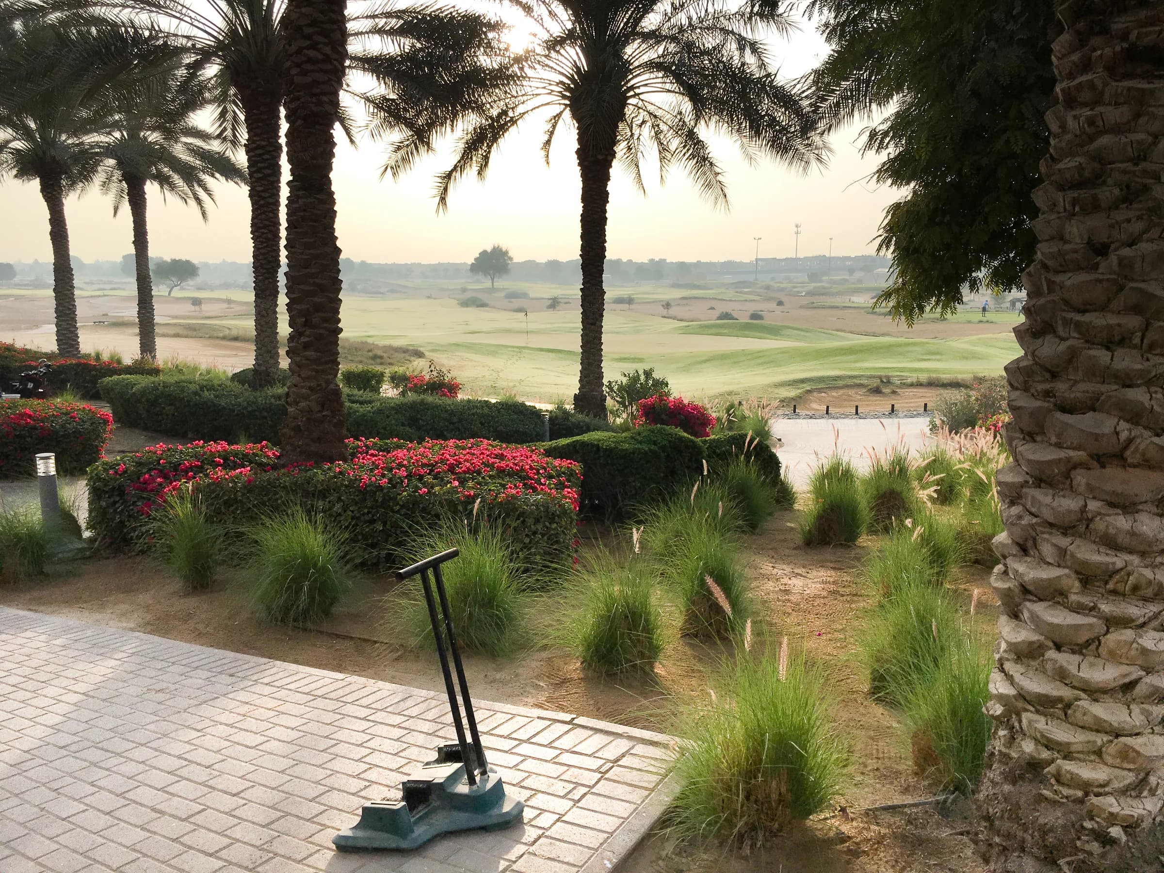 Arabian Ranches 1 — campo de golf y jardines, 15 enero 2018.